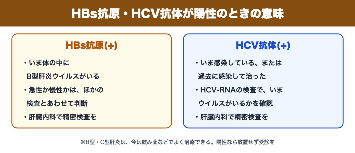 HBs抗原・HCV抗体が陽性のときの意味