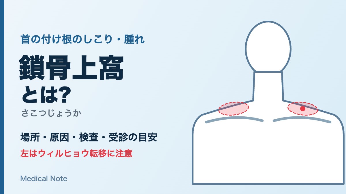 鎖骨上窩とは?首の付け根のしこり・腫れの原因と検査