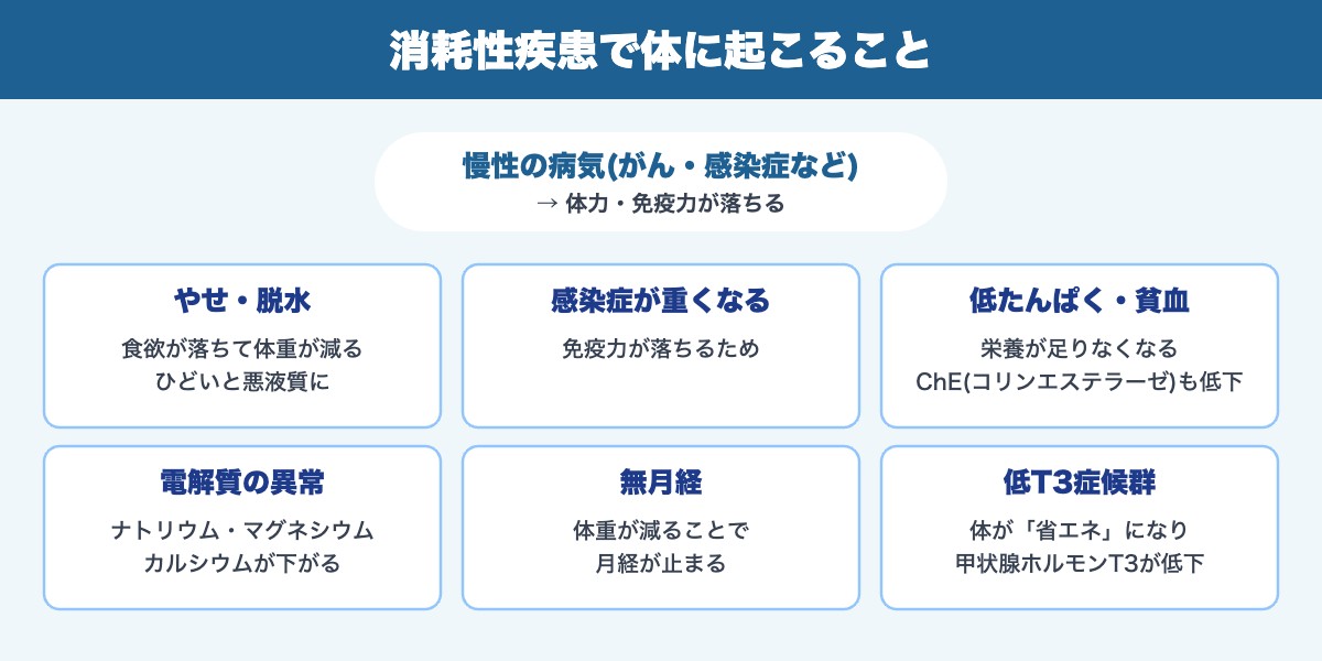 消耗性疾患で体に起こること(やせ・感染症の重症化・低たんぱく・電解質異常・無月経・低T3症候群)